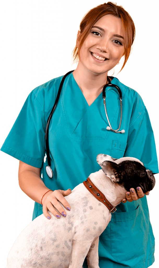 front-view-female-veterinarian-observing-little-dog-yellow-wall-1-609×1024